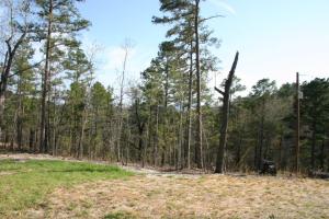 Buffalo River Estates - Residential