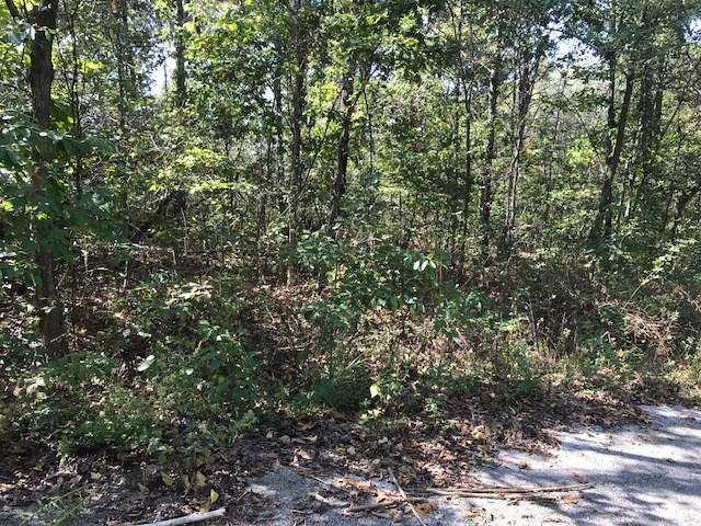 Level to rolling wooded lot. 5 minutes to new Bella Vista Bypass. Quiet secluded street.