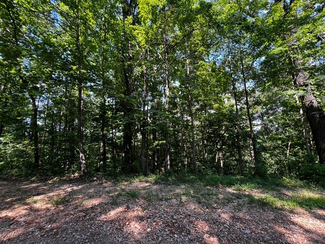 OVERSIZED LOT with a Great Bella Vista location! Backs up to Flow Rider Bike Trail. Come enjoy all Bella Vista has to offer with Lakes, Golf Courses, Gun Ranges, Pools and over 100 miles of Mountain Bike Trails!