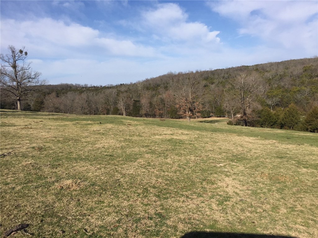 Home & 53 Acre! This property has a barn with working pens, shop building, 3 ponds, pasture for cattle or horses, and wildlife if you enjoy hunting.  The house has 2 bedrooms, a few updates have been started and ready for your crafty touch.  This property is located less than 10 minutes from the Berryville Square.