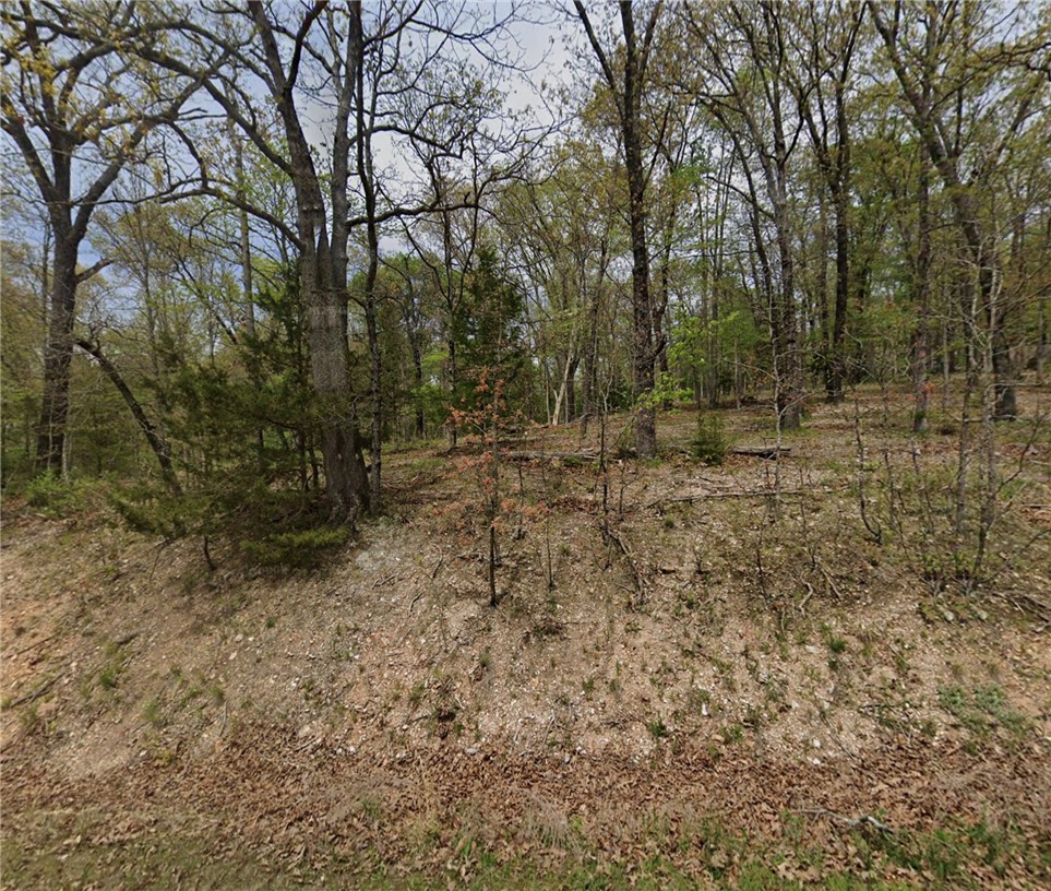 Build your dream home in the heart of Bella Vista's outdoor paradise! This lot has already been perc tested for a 3-bedroom home and is ideally located just 0.4 miles from the Gainsfield Trailhead on the renowned Back 40 Trail System. Enjoy quick access to miles of world-class mountain biking, hiking, and outdoor recreation right from your neighborhood. Whether you're looking to build a primary residence, second home, or investment property, this lot offers an incredible opportunity to enjoy the Bella Vista lifestyle. Conveniently located near golf courses, lakes, parks, fitness centers, and just minutes from Bentonville and all that Northwest Arkansas has to offer. Don't miss your chance to own a build-ready lot in one of the country's premier mountain biking destinations.