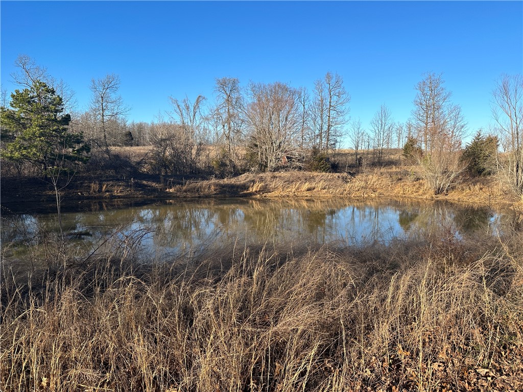 44 +/- acres located in Madison County, Arkansas. You will not be able to find this flat of a piece of property in the Boston Mountain Range. This is a prime location for a off grid hobby farm or deer camp near thousands of acres of National Forest. As the crow flies within 5 miles of Hawksbill​​‌​​​​‌​‌​​​‌‌​​​‌‌‌​​‌​​‌‌​​​​ Craig.