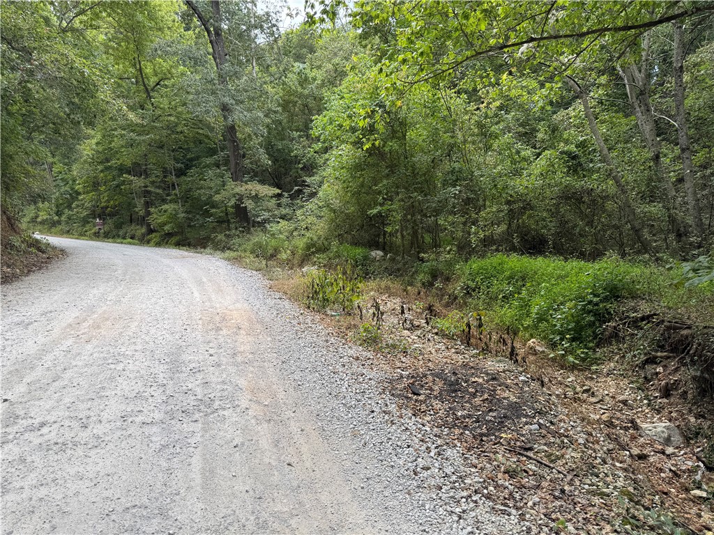 Owner is selling two 2 acre tracts for $159,500 for each 2 acres taken off his 7.97 acre tract or
he will sell as 4 acres for $319.000. The south tract must sell first.
Property will be surveyed. Electric at street. Rural Water Tap Needed (Washington Water Authority).  Septic required.