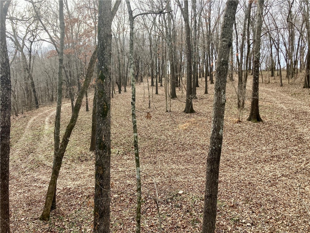 Sec 22,T18N,R31W - Land