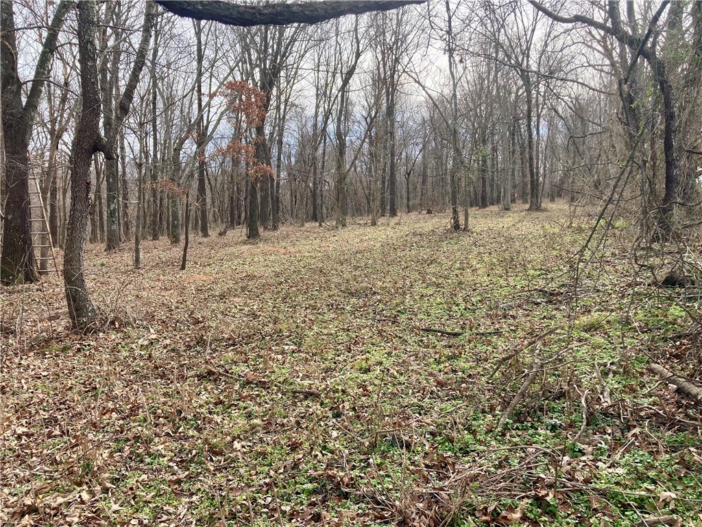 Sec 22,T18N,R31W - Land