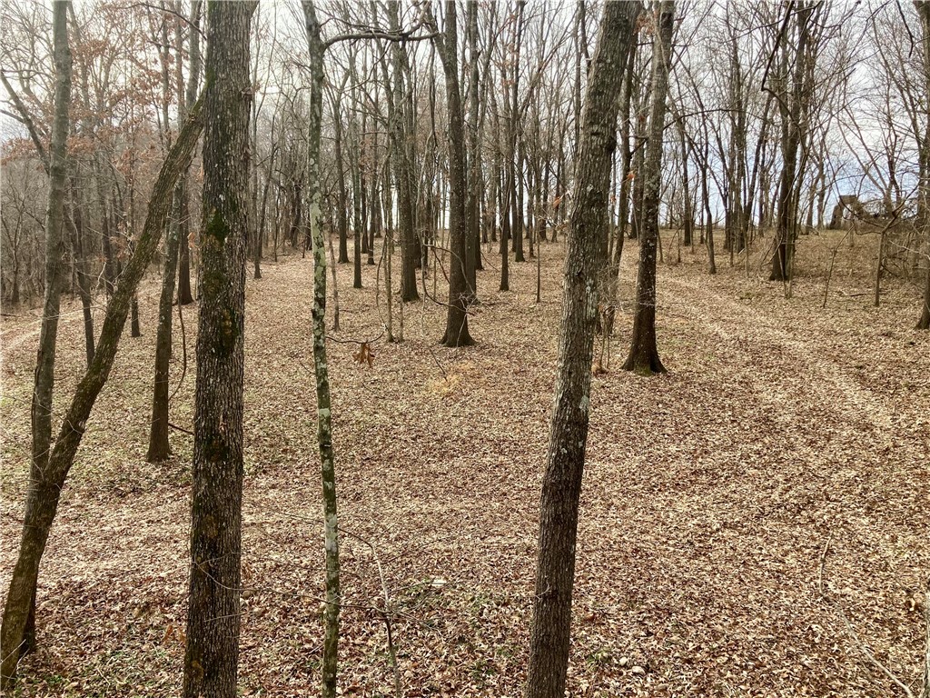 Sec 22,T18N,R31W - Land