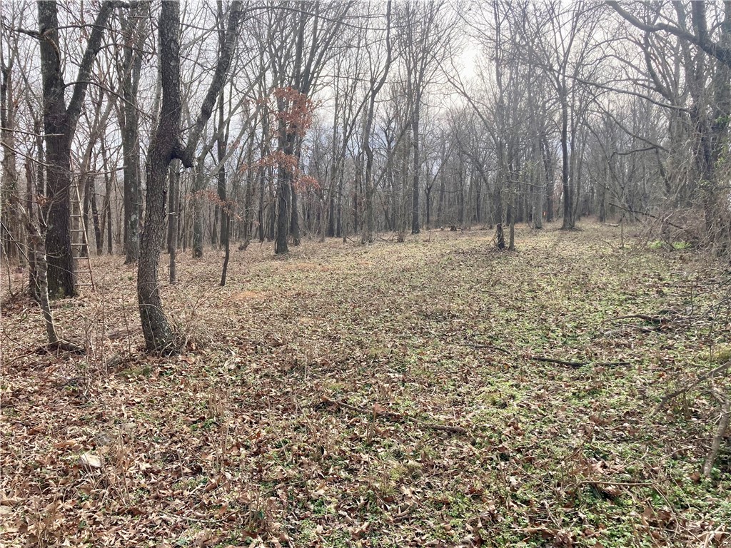 Sec 22,T18N,R31W - Land