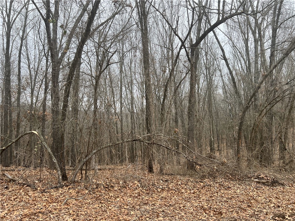 Pretty Views from this property.  The land is mostly wooded and has about 30 acres of pasture.