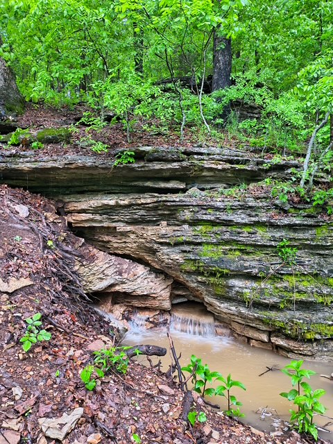 Escape the city life and enjoy nearly 7 beautiful acres in the Ozarks.  Current structure is surrounded by mature trees of many species including Oak, Walnut, Maple and Cedar.  Beautiful rock ledges abound.  Enjoy nature and peace and quiet.  The property is outstanding for hunting an is abundant with white tail deer and turkeys.  The property also has a new well and septic system in place, and a metal shop for storage purposes.  This property is perfect for anyone wanting to get away from the city, but is close to the essentials as well.  The property could serve as a weekend retreat or second home.  Current structure can be torn down to make way for a new build or mobile home.  Structure is currently being rented but has many unfinished projects to complete.  Your Ozarks escape awaits so don't miss this wonderful property.  County Road to property is a little rough but driveable.  Shown by appointment only.  Tenant occupied.  Please do not disturb the tenants.