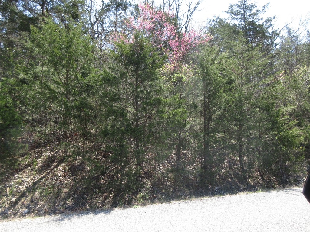 This is a very buildable wooded lot close to Table Rock Lake and the Holiday Island Marina. It is close to the Kayak launch area and the paved Leatherwood trail. After you cross the bridge over to the island, the 9-hole golf course and the Rec Center with swimming pools are there,