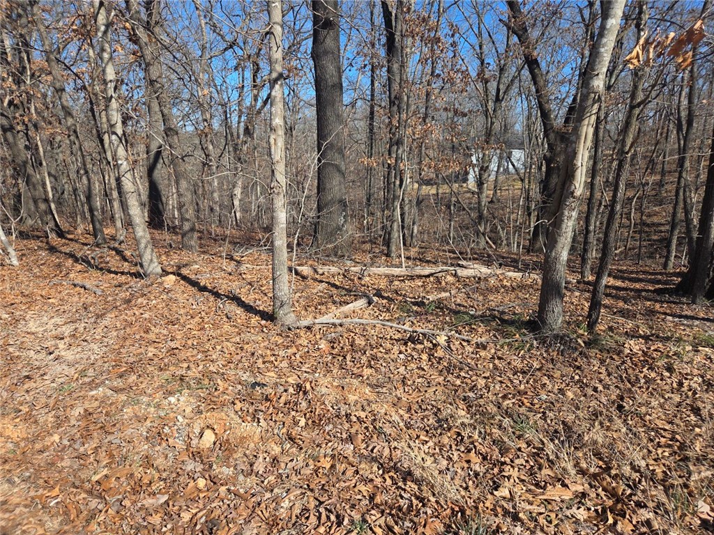 CARDIGAN SUB-BVV - Land