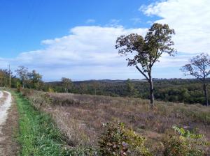 Possible Owner Financing!! Nice view and a good building site with about 7 acres of the land cleared and the rest is in woods.  Restrictions are no mobiles and no commercial hog or poultry buildings.