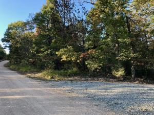 Don't miss out on this one! It won't last long!! 6 acres m/l unrestricted with power, water and septic. Ready for your RV or cabin. Located just 2miles from Buffalo National River and Rush Landing where there are hiking and horse trails and the old mining ghost town!
