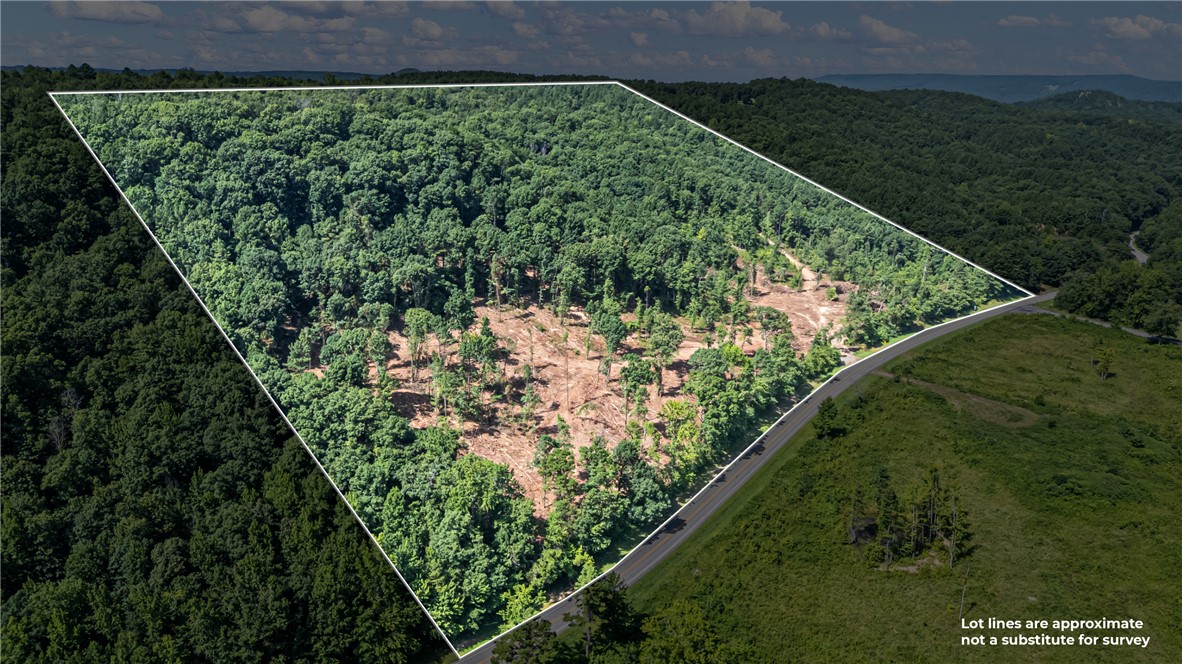 ***Update*** Property has been partially cleared! READY TO BUILD - 

34 +/- acres off of SR 164 W is now available! This diamond in the rough has a lot of potential just waiting on a Buyer with vision to come along. This property is within minutes of the Ozark National Forest, Piney Creek, Mack's Pines, Long Pool Swimming Area, & downtown Dover, AR making it the perfect spot for a base camp. Or, take advantage of the abundant wildlife in the area and never leave the place! Enjoy the peace of rural Arkansas living without sacrificing a short trip back to the city.