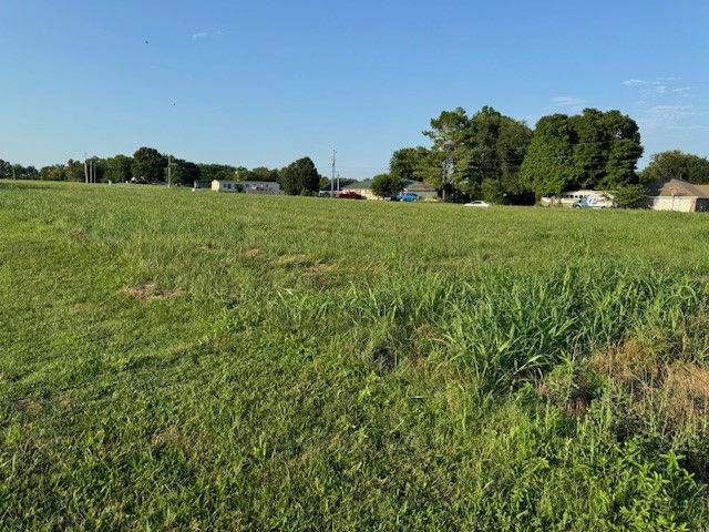 1.75 acres (Tract B) of parent tract parcel # 760-03131-006, Corner of Clyde Carnes Rd & Jim Brooks Rd. Seller has received approval letter for a water tap