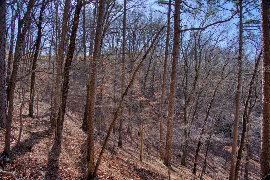 Vista View Estates - Land