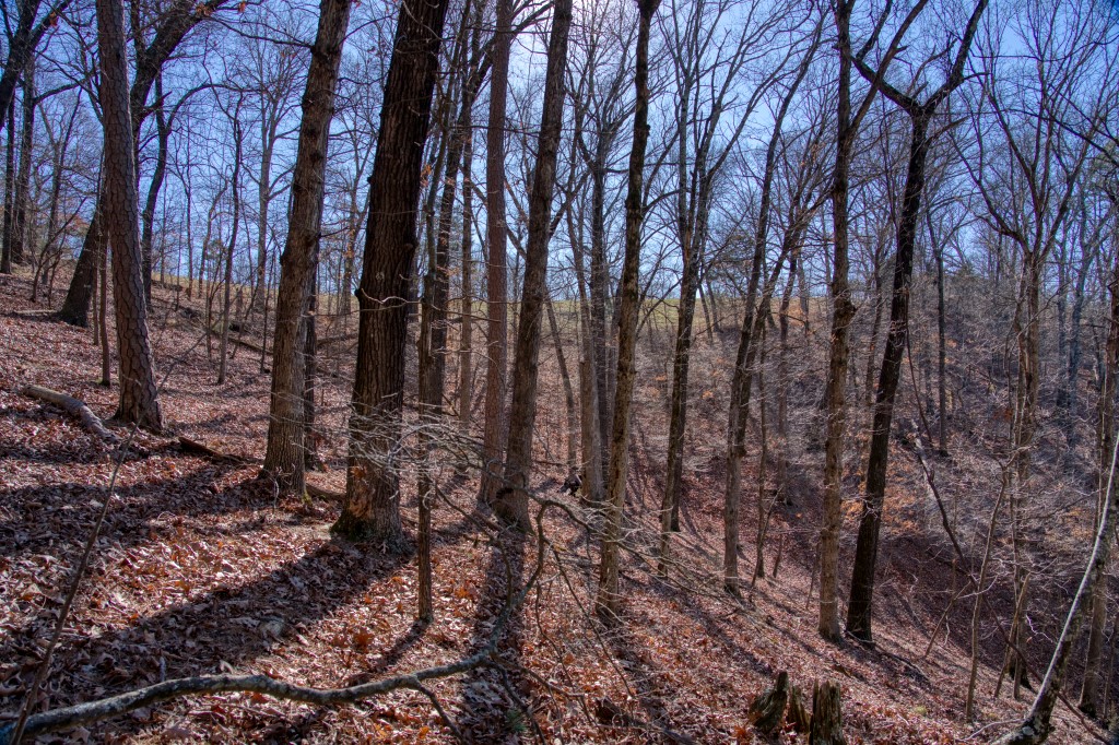 Vista View Estates - Land