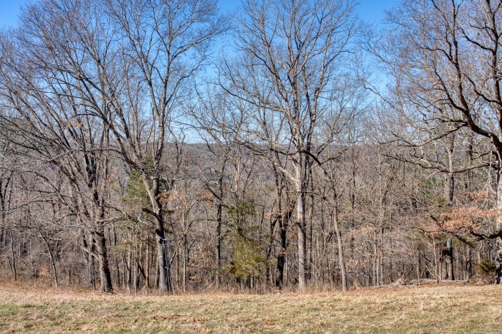 Vista View Estates - Land