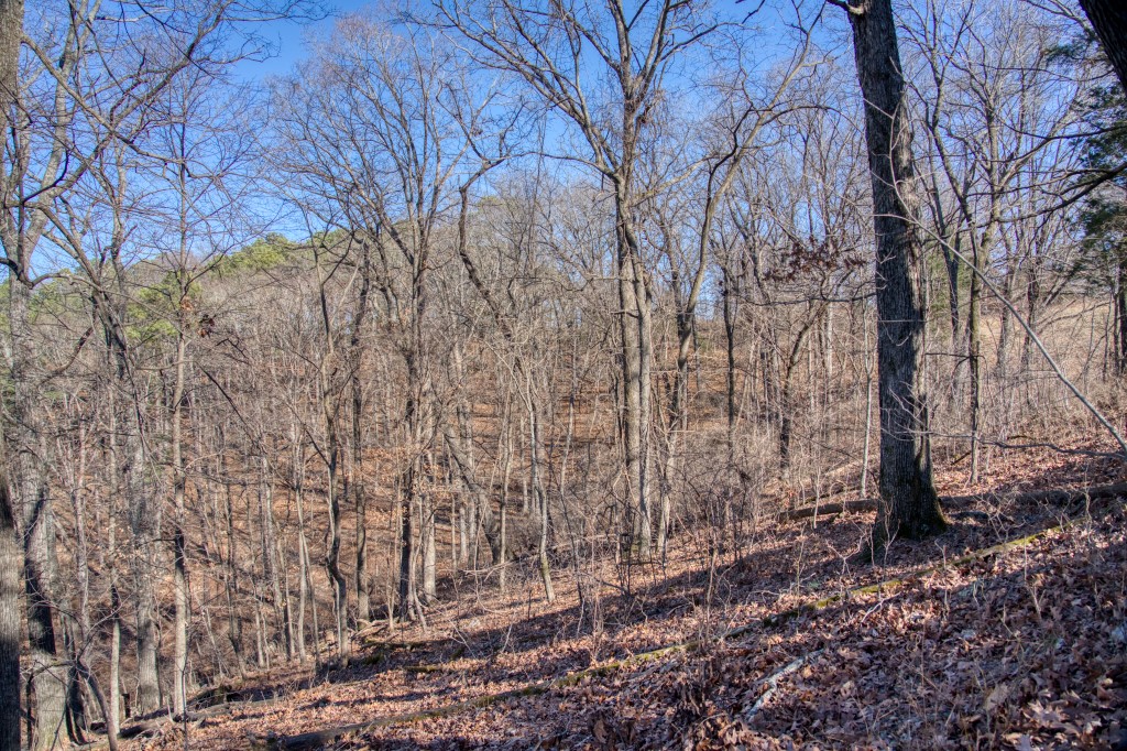 Vista View Estates - Land