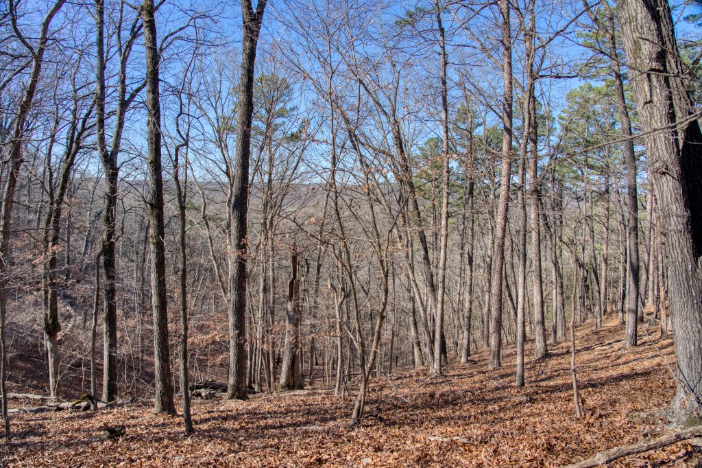 Vista View Estates - Land