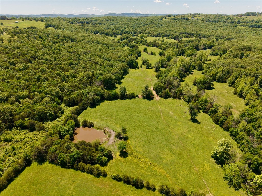 Welcome to your own private farm retreat on 149 beautiful acres m/l, featuring 3 ponds, a year-round creek, open pasture, and mature trees throughout the property. Conveniently located just off Highway 412, this peaceful setting offers the perfect balance of privacy, serene countryside views, and easy access to Huntsville, Springdale or Fayetteville. The charming home offers 1,948 heated square feet plus an additional 858 square foot basement family room, providing plenty of space for storage, hobbies, or expansion possibilities. Inside you’ll find 3 bedrooms, 2.5 bathrooms, and timeless vintage character that adds warmth and personality throughout the home. A covered carport adds convenience and functionality. Whether you’re looking for a working farm, family homestead, recreational property, or peaceful country escape, this property offers endless potential with beautiful land and a truly special setting. Property is sold "As Is"