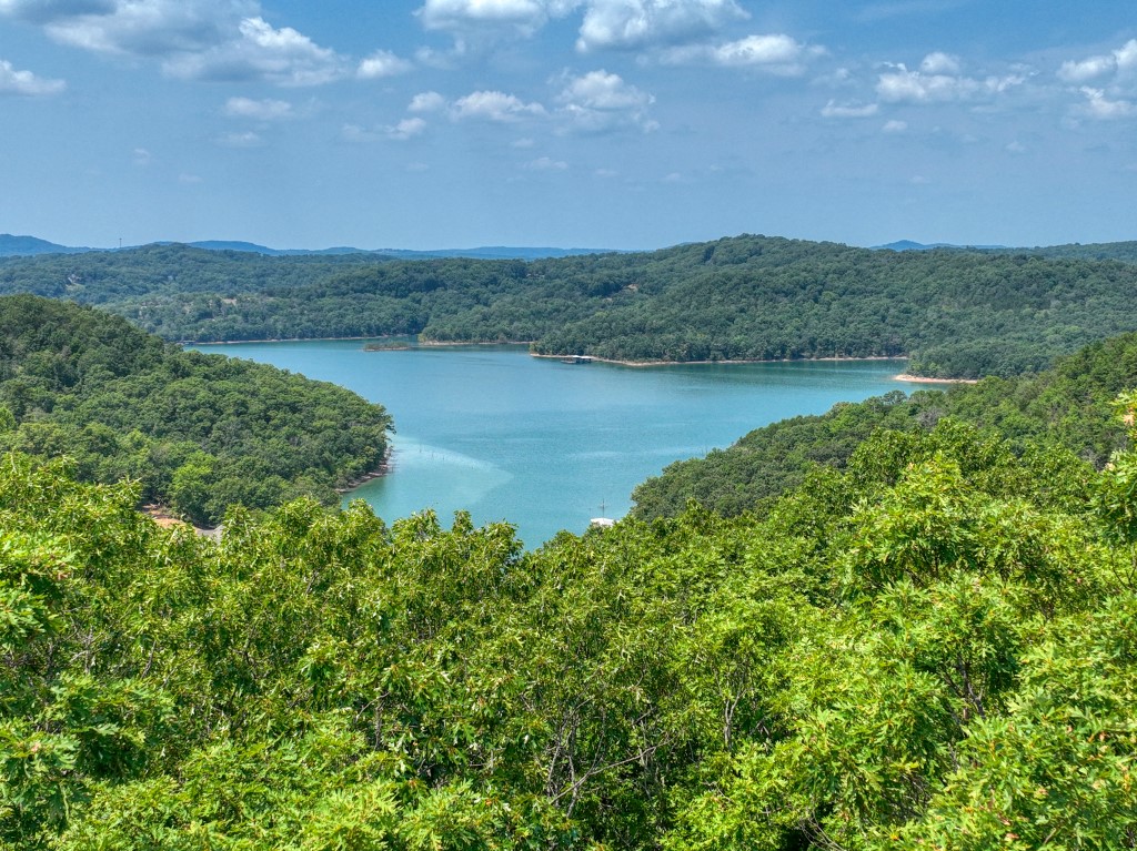 These three lots could each be built on or keep them all and enjoy the privacy that 469’ of road frontage provides! A nice Beaver Lake view peaks through the trees currently but some selective tree removal will open up an unobstructed view! These lots are situated just barely off of the paved road and access is easy and level. Launch your boat or jet skis at the boat ramp that is only 10 minutes​​‌​​​​‌​‌​​​‌‌​​​‌‌‌​​‌​​‌‌​​​​ away!