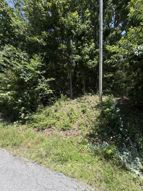 Level lot close to Lake Loch Lomond.  .31 acres ready to be evaluated for building your dream home.  Lake Lomond is a recreational hub featuring a full-service marina, a large population of largemouth bass, two beaches, you can water ski, paddle board, and kayak. World renown mountain biking, Oz Trails Bike Park, golf courses, creeks, hiking trails and so much more is available in Bella Vista.