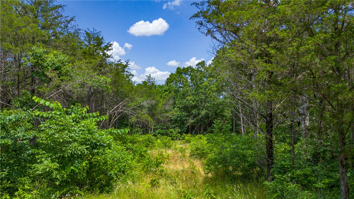 White River Estates Tracts 4 & 5 - Land
