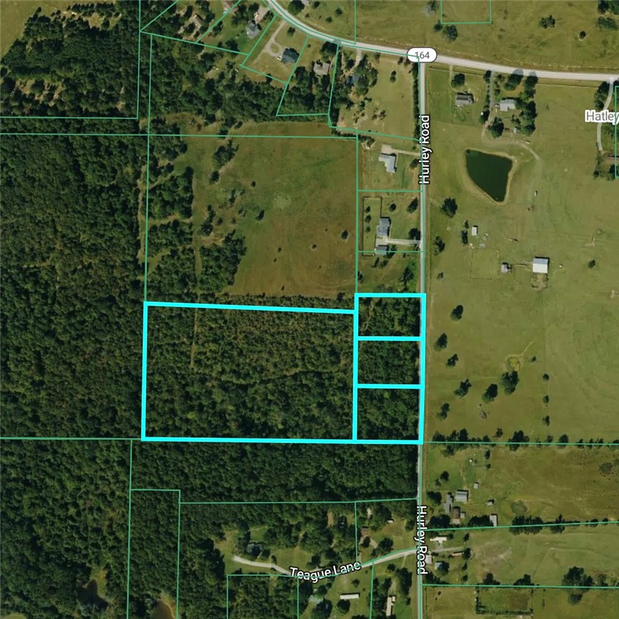 17+/- wooded acres in Dover with access from Hurley Road. The property sits within the Homeplace Estates subdivision and is fully timbered with no clearing or improvements in place.

The land allows for a single-family residence under the subdivision’s use guidelines. Utilities run in the area, but buyers should confirm availability and any required extensions.

If you’re looking for acreage in a subdivision setting with solid road access, this tract fits well.