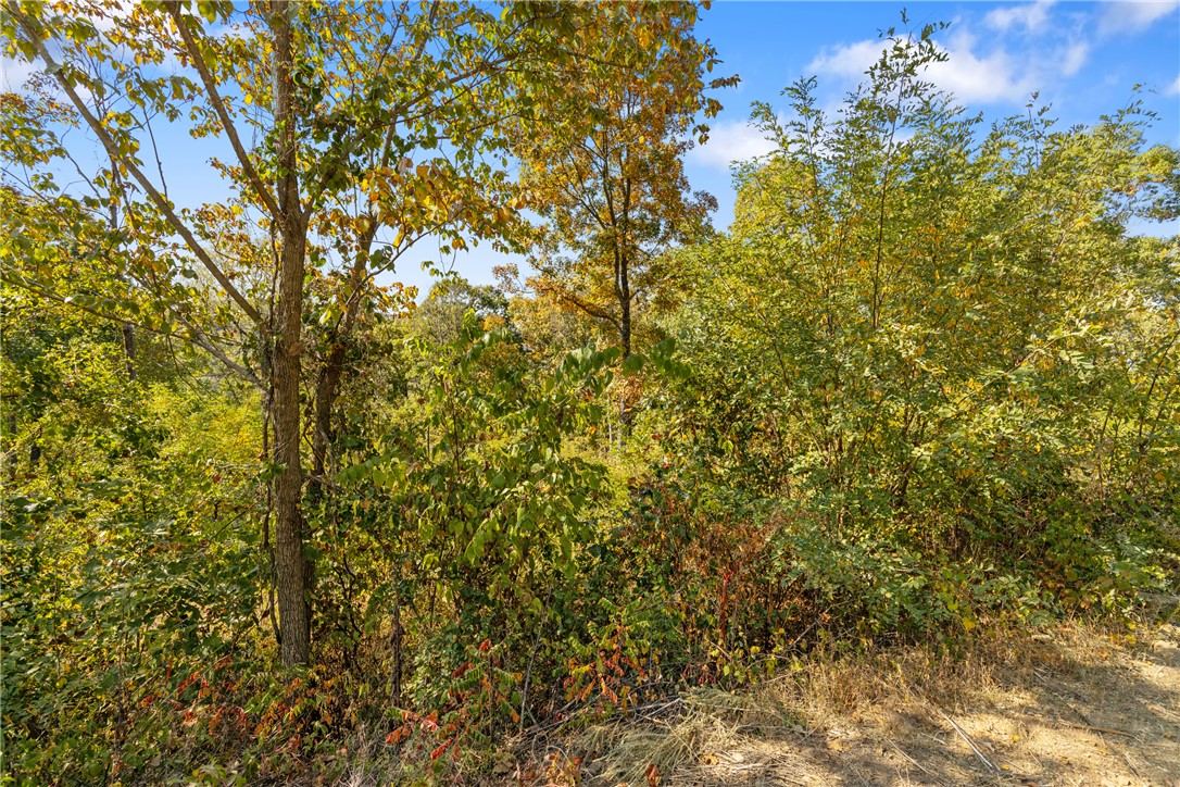 Round Mountain Estates - Land
