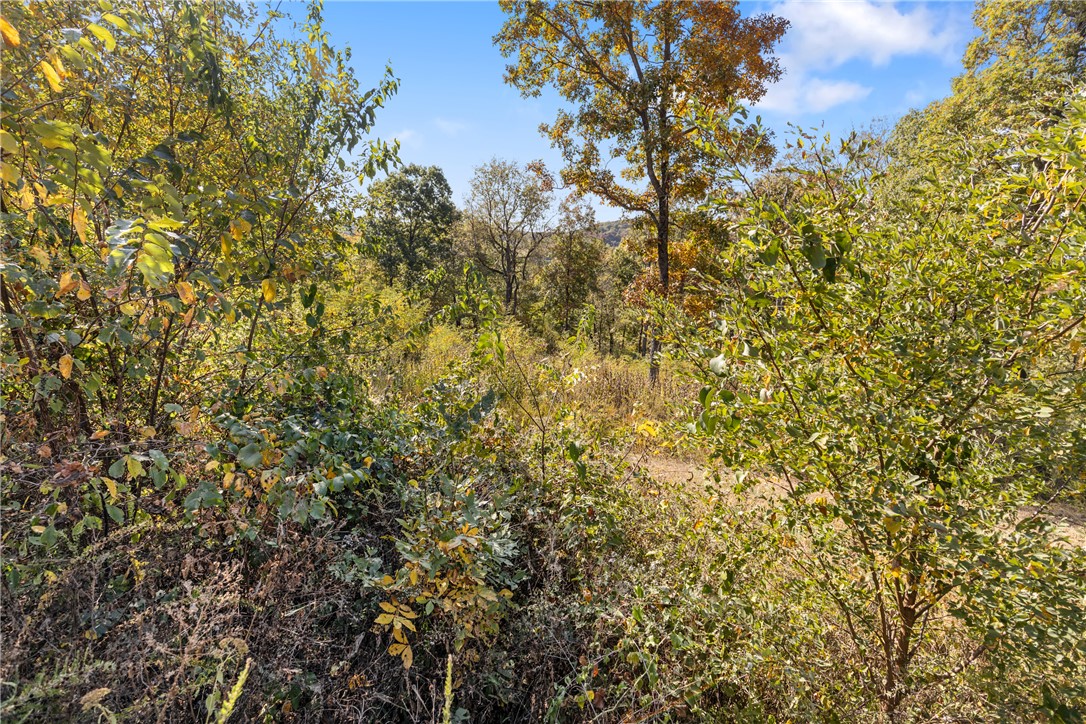 Round Mountain Estates - Land