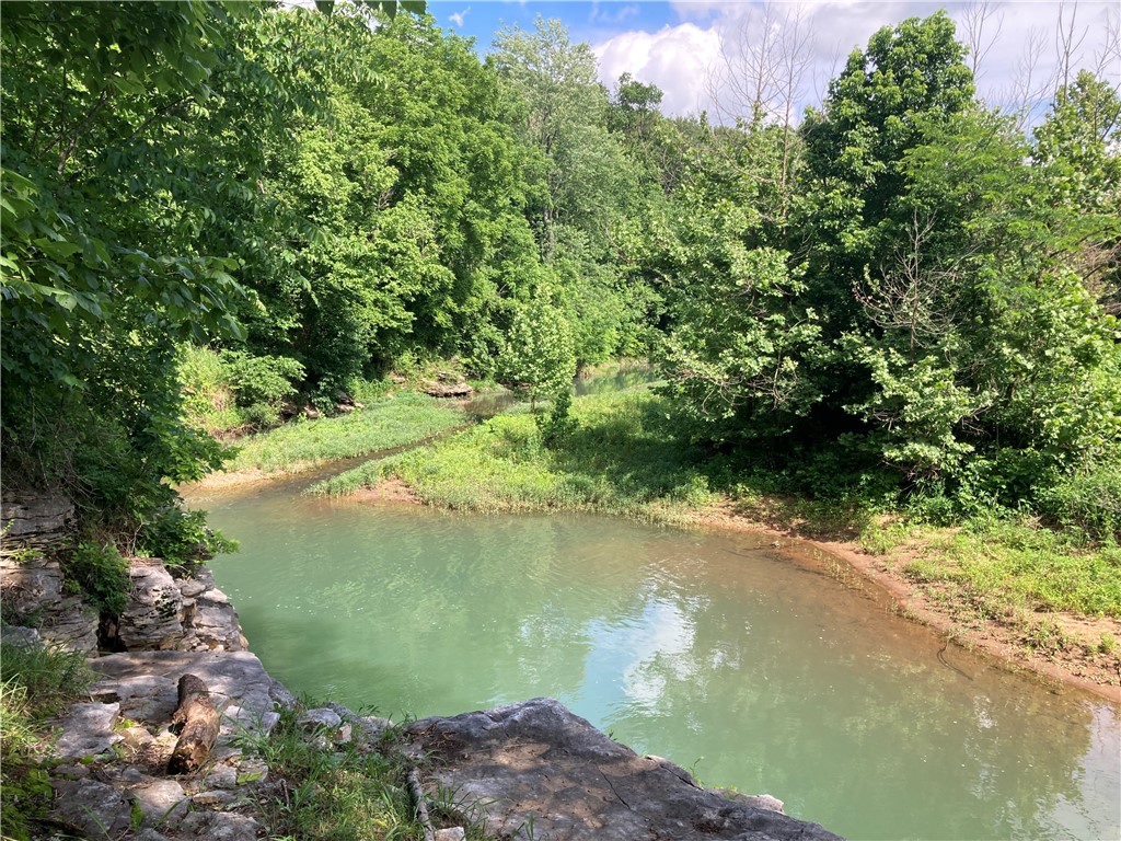 Hunting land with live water and county road access. Pristine 18 m/l acres. Great hunting property with live water and great spot for camp or RV. Deer, turkey and bear have been spotted on property.