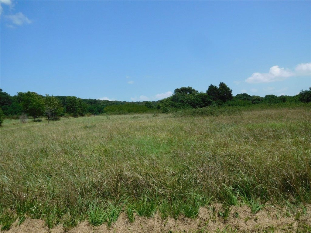 Rural - Residential