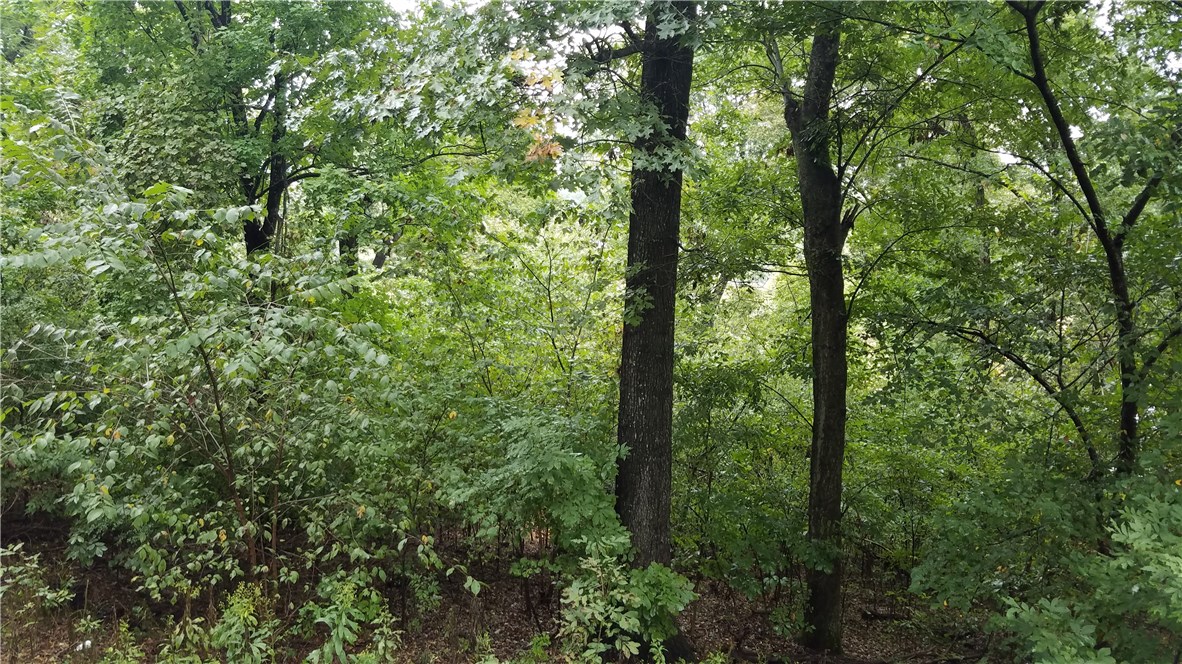 Beavorama Park Sub - Residential