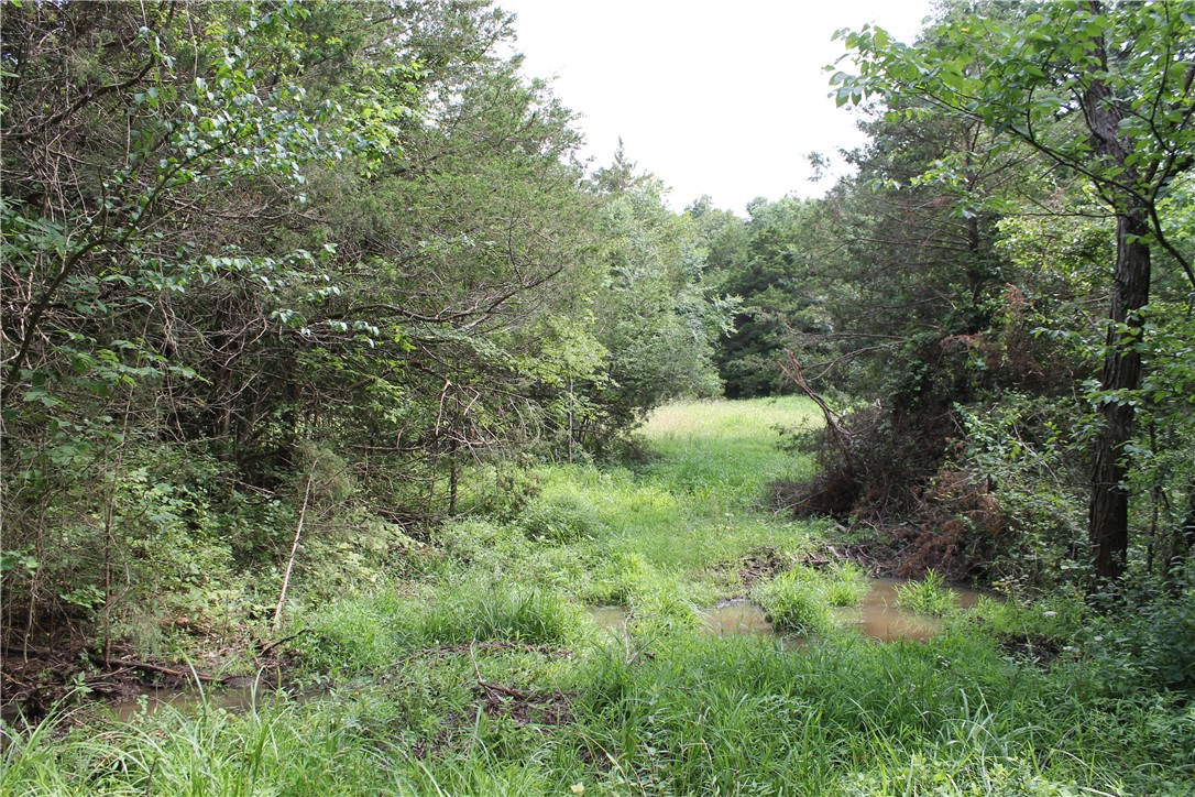 Goshen Land - Land
