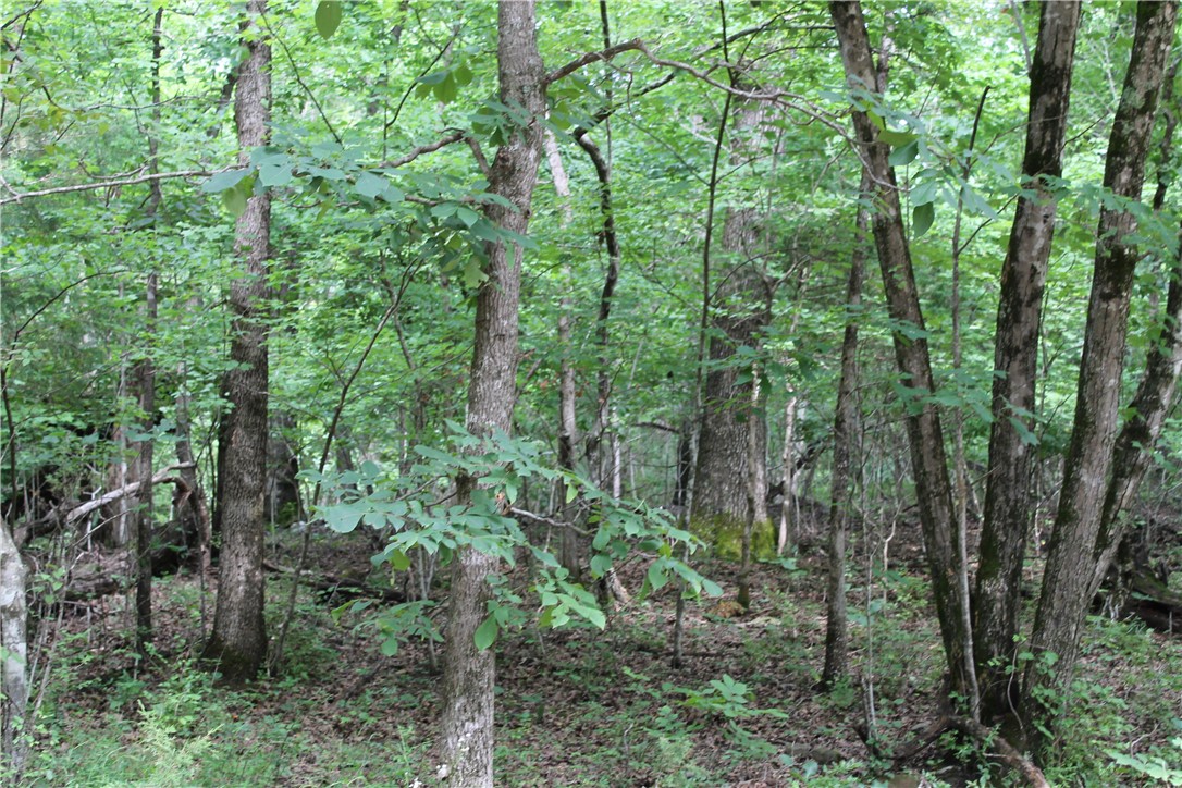 Goshen Land - Land