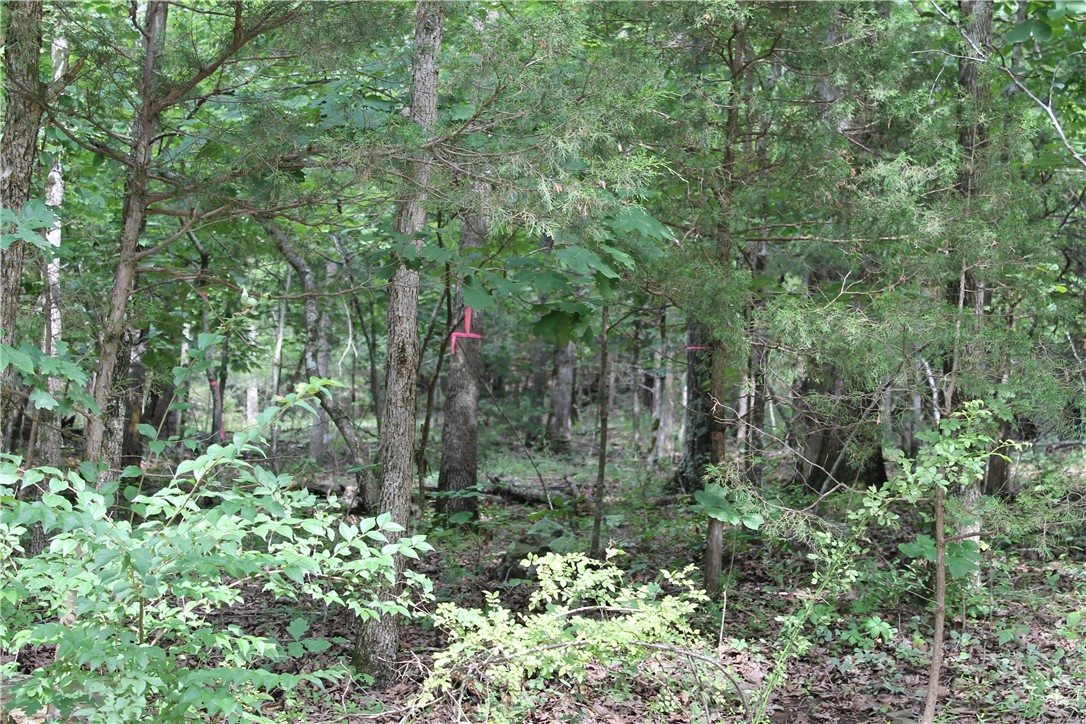 Goshen Land - Land
