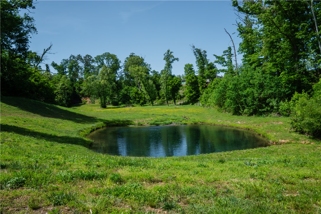 Healing Springs Phase 2 - Land