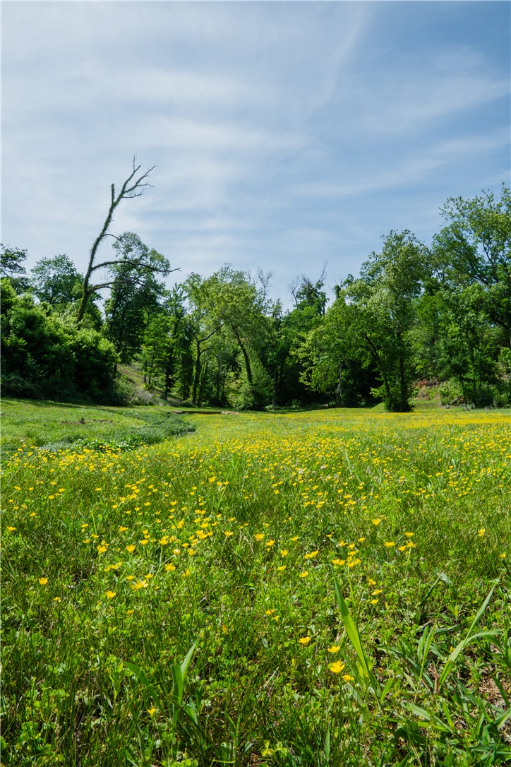 Healing Springs Phase 2 - Land