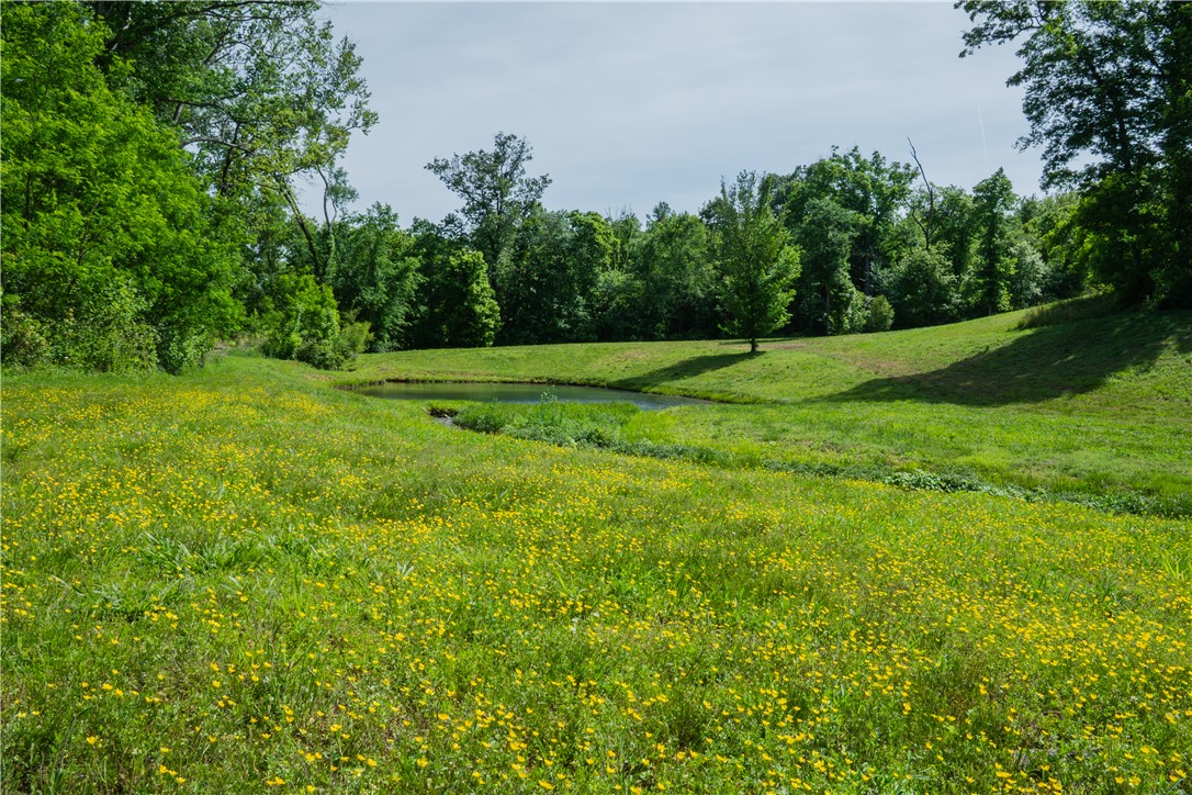 Healing Springs Phase 2 - Land