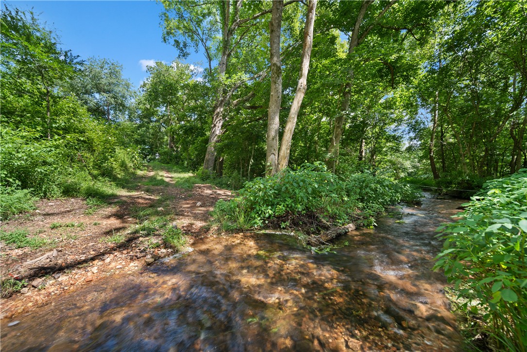 Healing Springs Phase 2 - Land