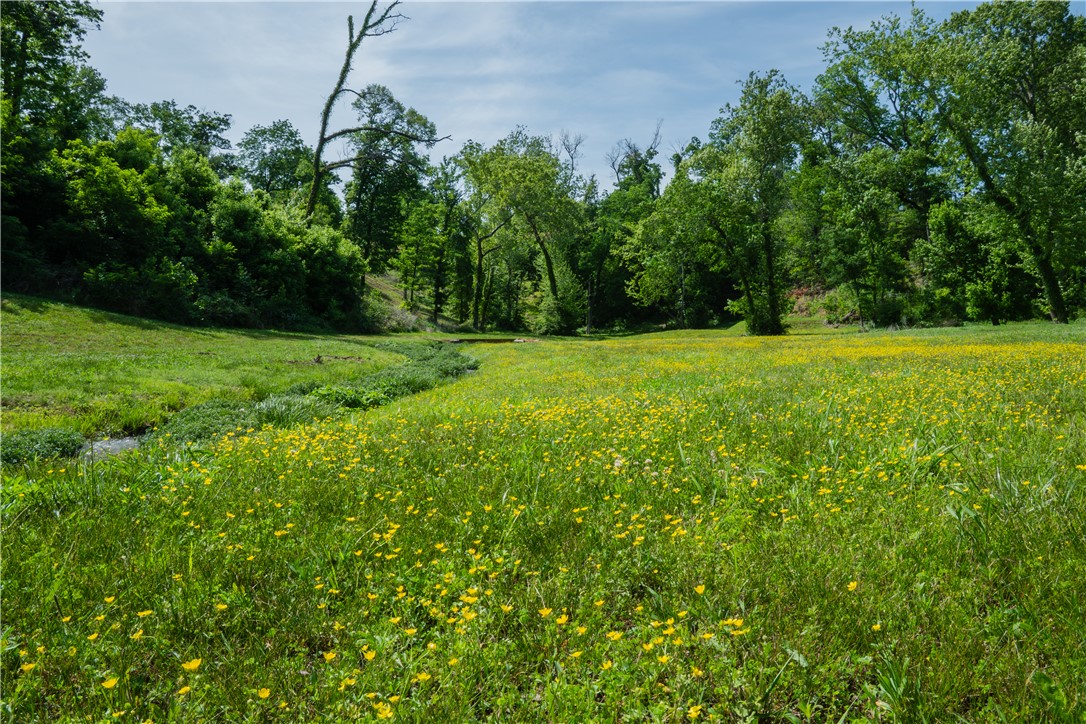 Healing Springs Phase 2 - Land