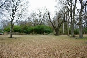 Two commercial lots in Russellville with high visibility off of Parkway drive! Traffic is non stop in front of this cleared land that is just waiting for your great idea to take form! Not many lots in Russellville city limits for this price are available. Call ASAP.