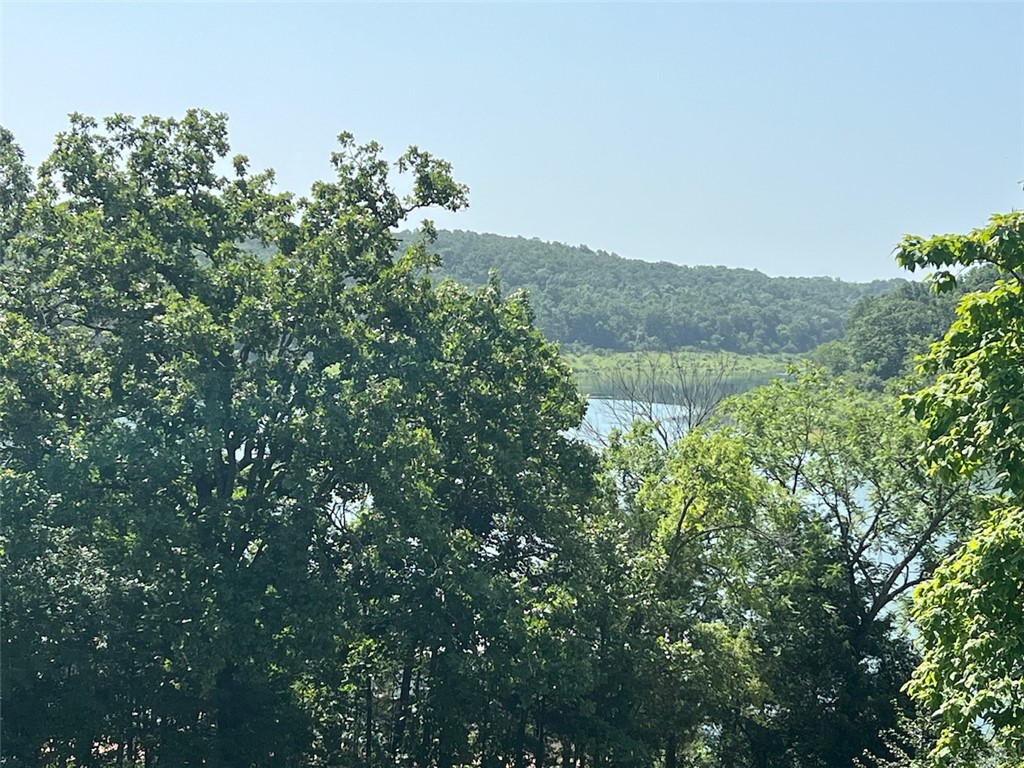 Diamond City Acreage - Residential