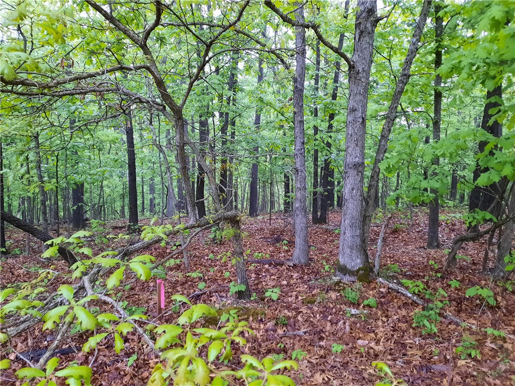 Ready to build .7 acres. lot 3 has been tested and approved for a 3 bedroom with paperwork. get ready to build your dream home or your next investment property!