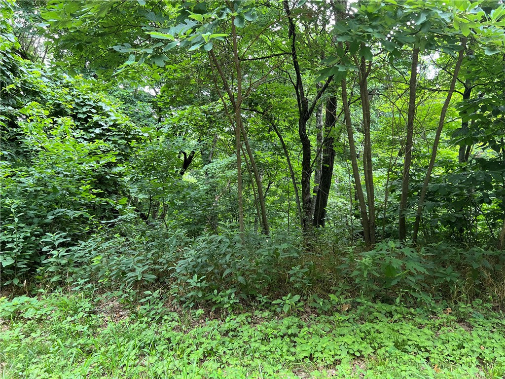 Unit 6 Holiday Island - Land