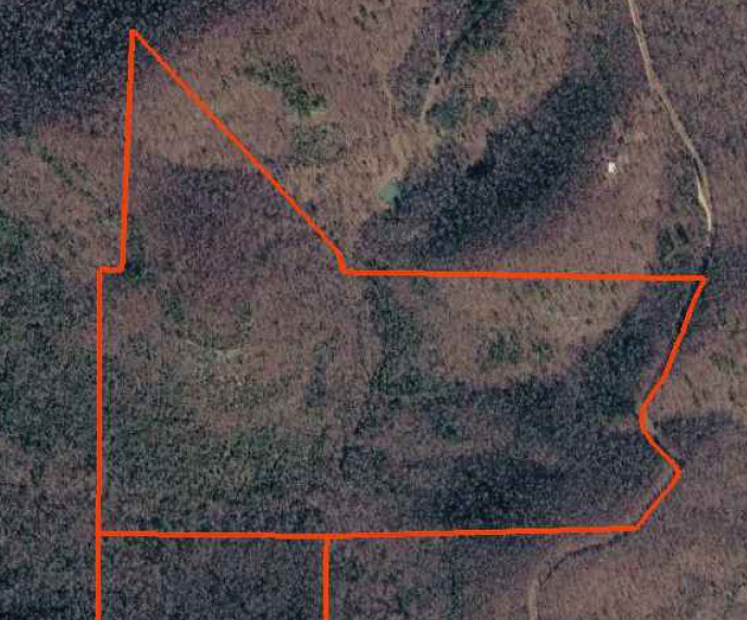 Experience the ultimate Ozark escape with this stunning 129.21-acre wooded tract on Mallard Terrace in Yellville, Arkansas! Offering wooded, rolling terrain, abundant wildlife, and exceptional privacy, this property is perfect for a hunting retreat, recreational getaway, or your dream home or cabin. Deer, turkey, and other native wildlife make this a true sportsman's paradise, while the expansive acreage provides endless opportunities for hiking, ATV riding, camping, and exploring the outdoors.  Deed Restrictions for Clabber Creek Crossing:
NO MOBILE HOMES, NO JUNK CARS, BOATS, CAMPERS OR OTHER UNSIGHTLY ITEMS TO REMAIN IN VIEW FROM THE ROAD, NO KENNELS, NO COMMERCIAL POULTRY OR OTHER LIVESTOCK EXCEPT FOR PERSONAL USE, NO SUBDIVIDING OF ANY TRACT, RESIDENTIAL HOME AS FOLLOWS: BARNDOMINIUMS, PREFAB HOME, MANUFACTURE AND LOG HOME OR ANY HOME IMPROVEMENT WHICH WILL MAINTAIN THE AESTHETICS AND OVERALL VALUE OF THE PROPERTY, ONE GUEST HOUSE WILL BE PERMITTED TO BE BUILT ON ANY OF THE TRACTS.