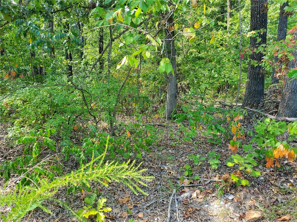 It is a 1/2 mile from a Lake Lomand boat dock