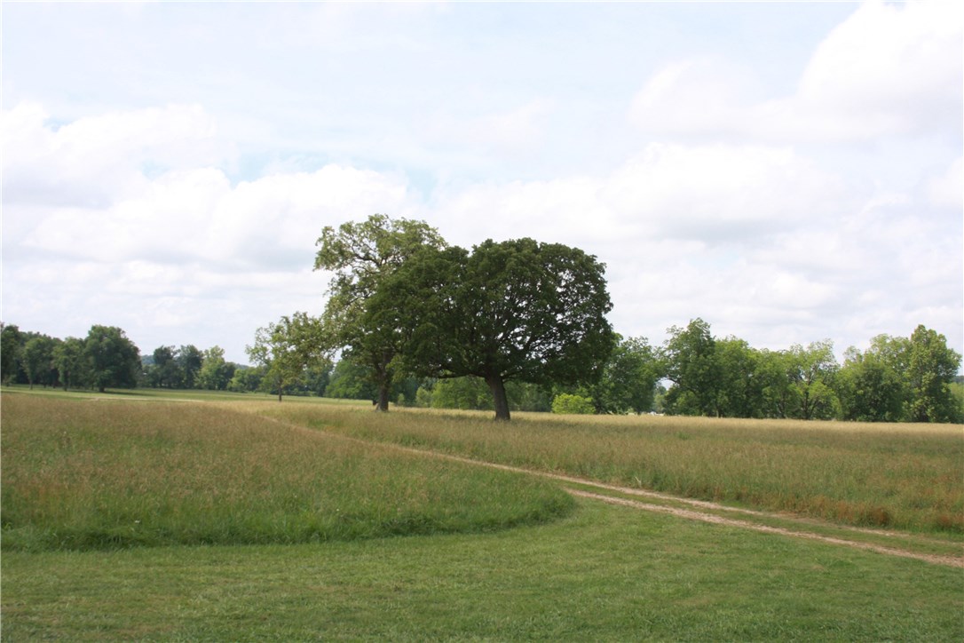 Beautiful recreational/pasture land on the Illinois River with a 2 bedroom ranch style home with attached 1344 sf shop and carport areas! Close to Kayak park, Gorgeous setting with beautiful views. Fish, Farm, Kayak, Canoe, lots to do on this 88+/- acres! One of the prettiest sites around and in a private setting. Conveniently located just minutes from town! Property has a shared well