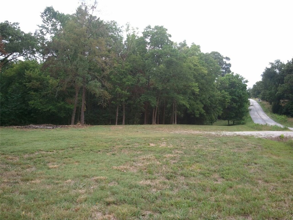 Nice piece of land just outside of Bella Vista.  Bring your plans, build your dream home and enjoy this 3.79 acre property including the covered structure and rebuilt 40' X 27' workshop/barn with a 25' X 15' loft.  Great location, lots of possibilities and at a great price!  Has 911 address assigned to a house to be built on the property. This new address is 14847 Jack Crabtree Rd Bentonville, AR 72712